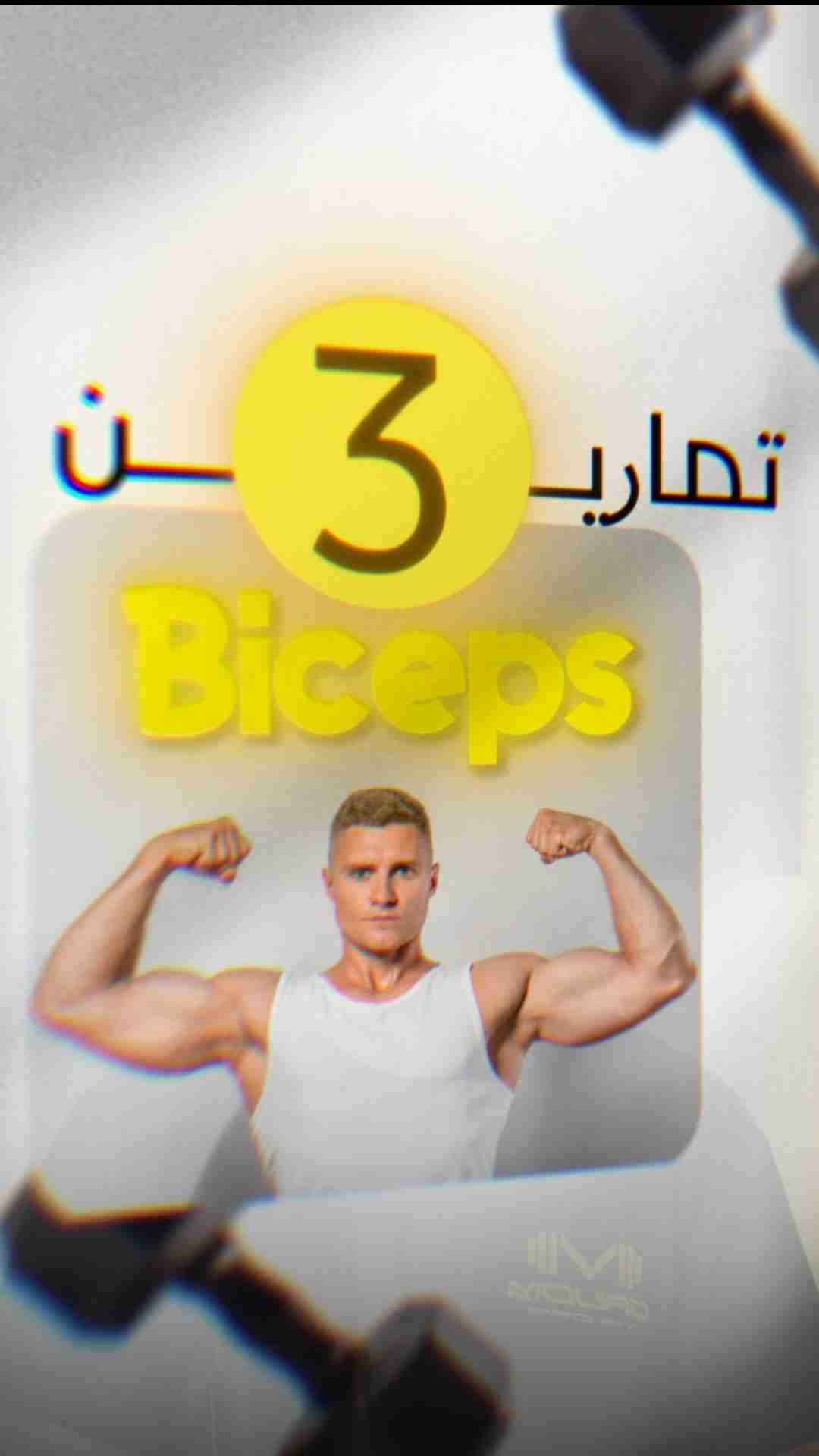 فيديو 11