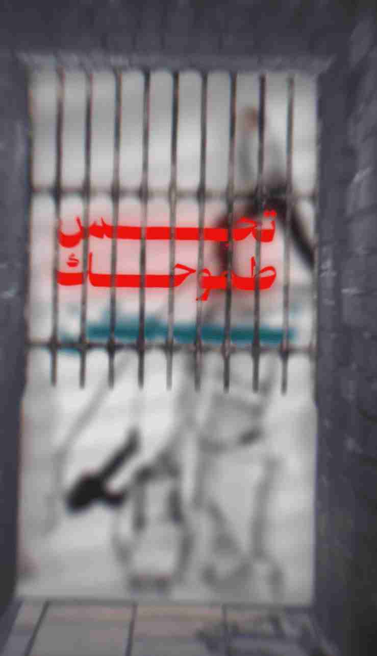 فيديو 11